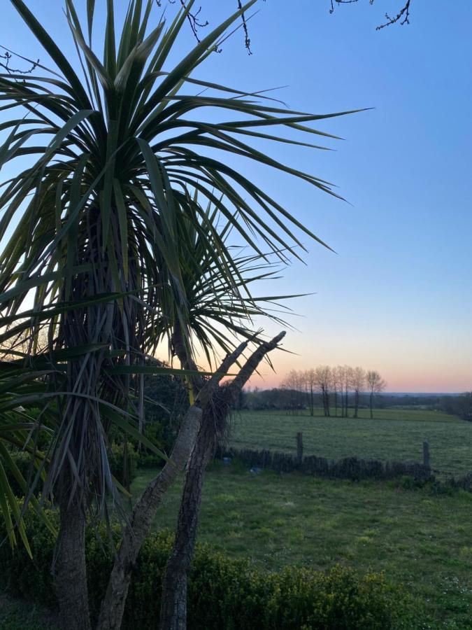 Maisonbel, Gite Convivial Bretagne Vannes Sarzeau 15 Personnes Surzur Bagian luar foto